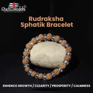 rudraksha-sphatik-bracelet