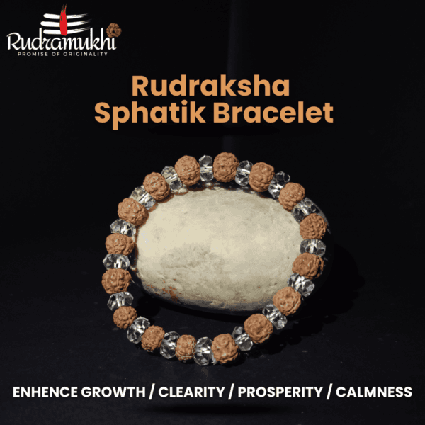 rudraksha-sphatik-bracelet
