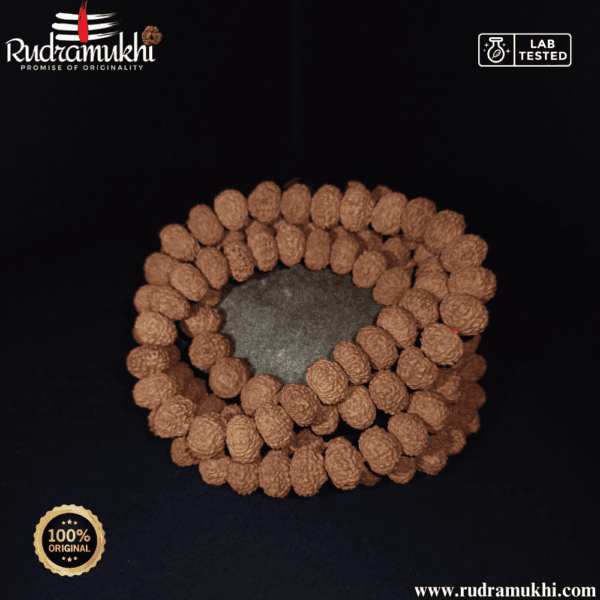 10-mukhi-rudraksha-kantha-mala