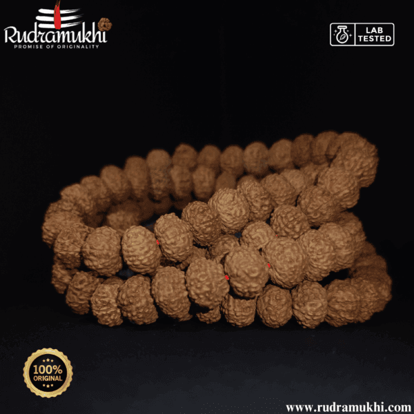 10-mukhi-rudraksha-kantha-mala