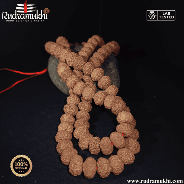 10-mukhi-rudraksha-kantha-mala