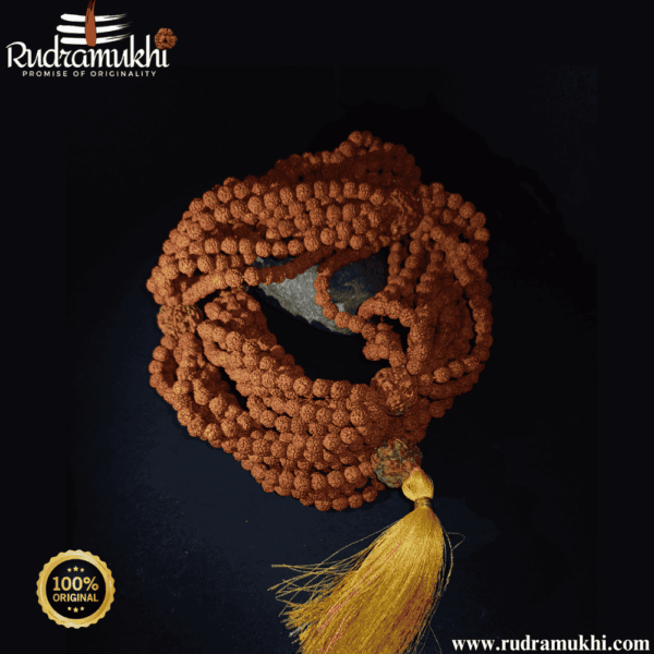 1008-beej-rudraksha-kantha-mala