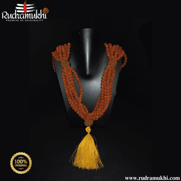 1008-beej-rudraksha-kantha-mala
