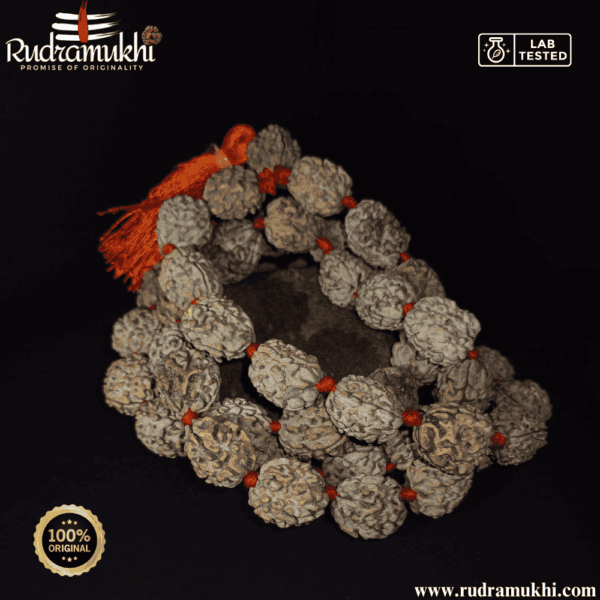 3-mukhi-rudraksha-kantha-mala