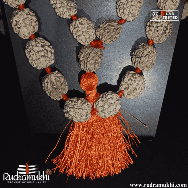 3-mukhi-rudraksha-kantha-mala