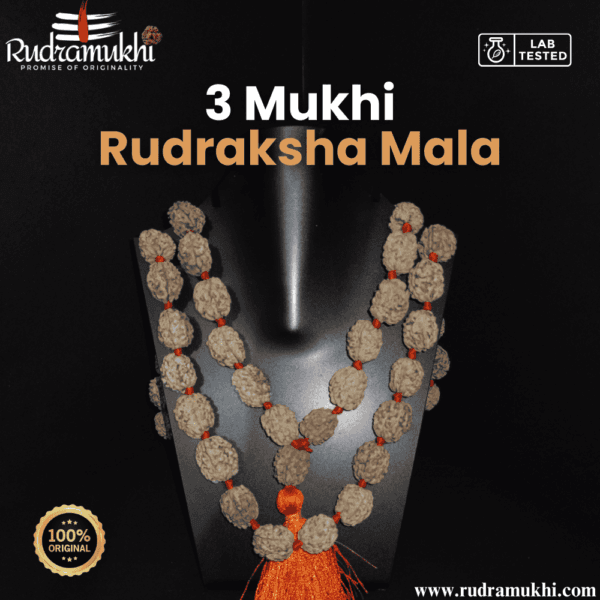 3-mukhi-rudraksha-kantha-mala