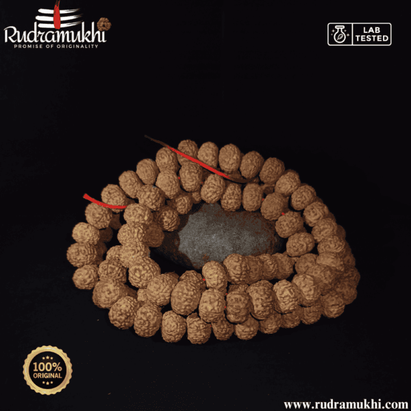 7-mukhi-rudraksha-kantha-mala