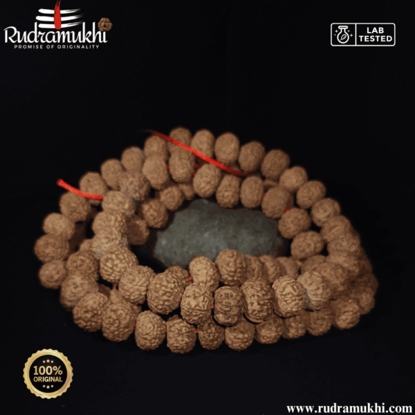 7-mukhi-rudraksha-kantha-mala