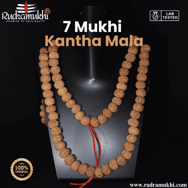 7-mukhi-rudraksha-kantha-mala