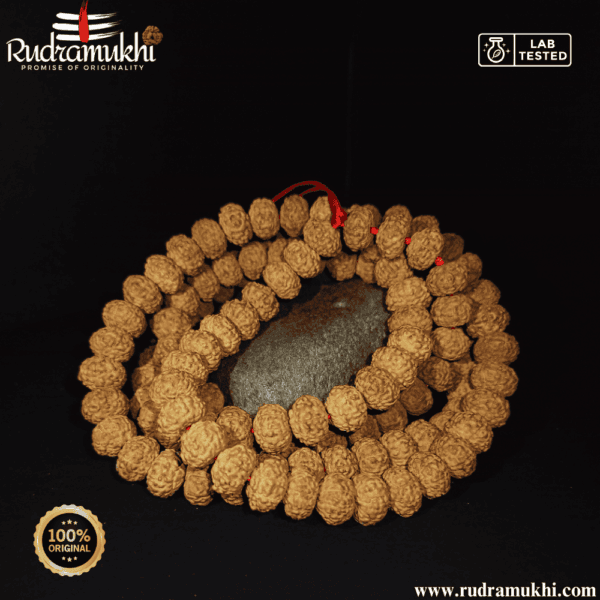 8-mukhi-rudraksha-kantha-mala