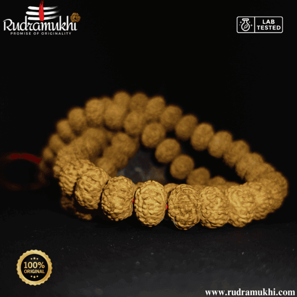 8-mukhi-rudraksha-kantha-mala