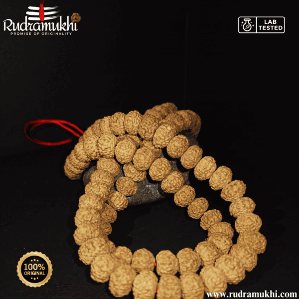 8-mukhi-rudraksha-kantha-mala