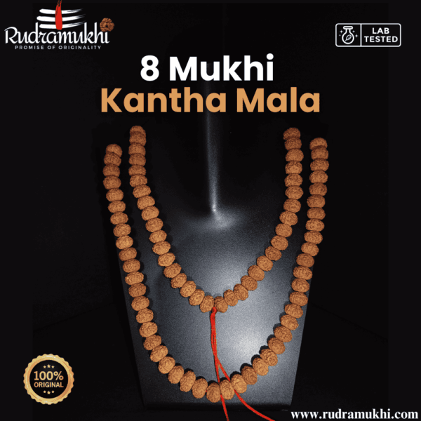 8-mukhi-rudraksha-kantha-mala