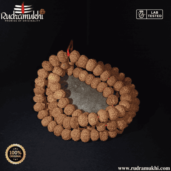 9-mukhi-rudraksha-kantha-mala
