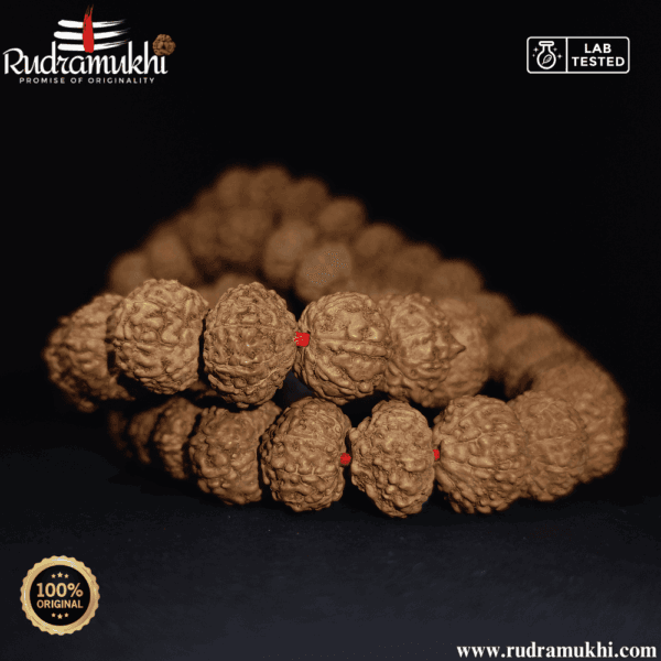 9-mukhi-rudraksha-kantha-mala