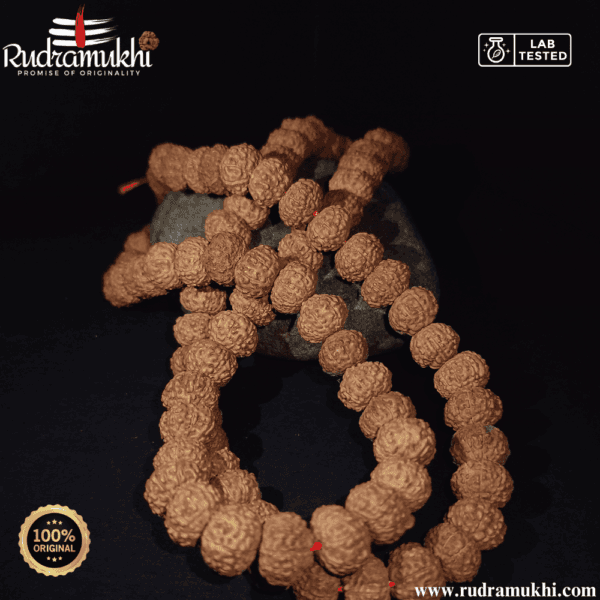9-mukhi-rudraksha-kantha-mala