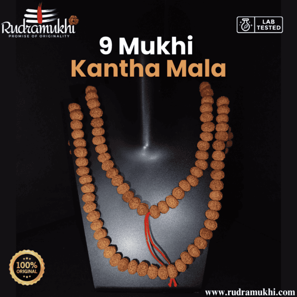9-mukhi-rudraksha-kantha-mala