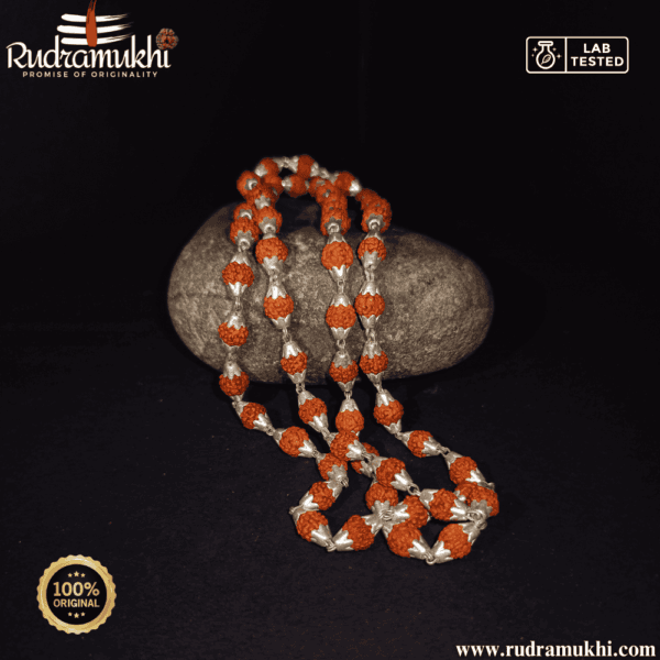 silver-rudraksha-mala
