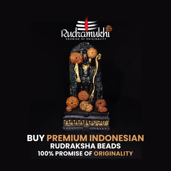rudraksha-products-wholesaler