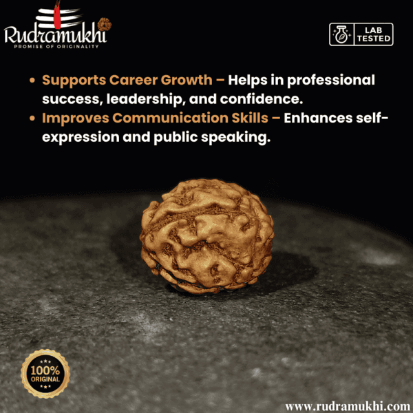 indonesian-4-mukhi-rudraksha-bead