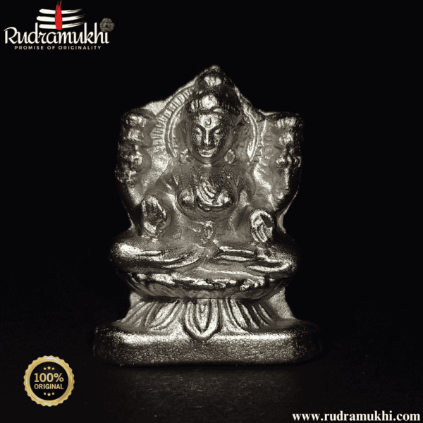 laxmi-mata-parad