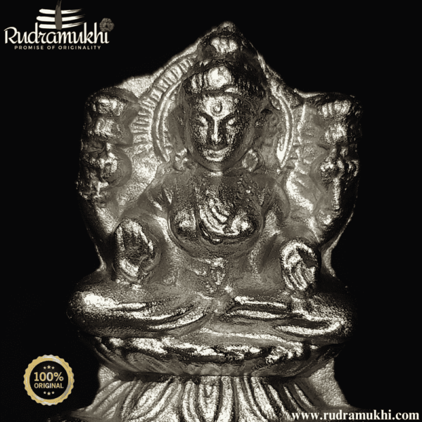 laxmi-mata-parad