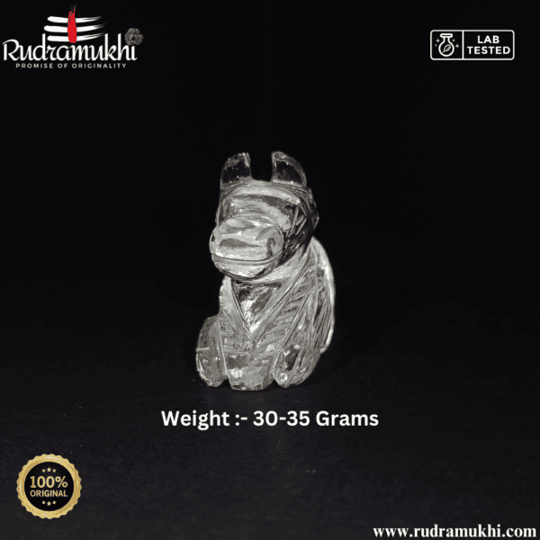 pure-sphatik-nandi-maharaj