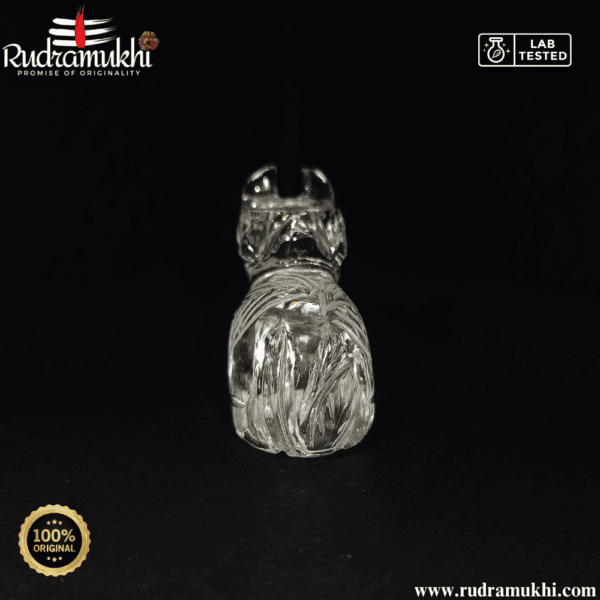 pure-sphatik-nandi-maharaj