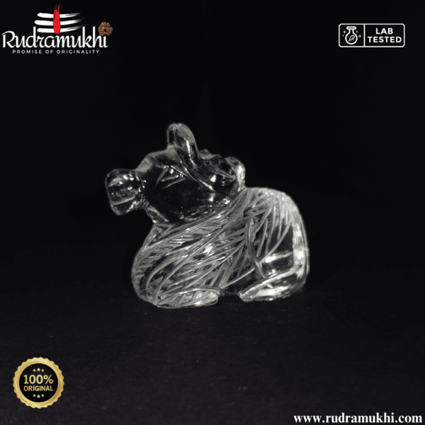 pure-sphatik-nandi-maharaj