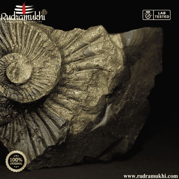 powerful-shaligram-stone