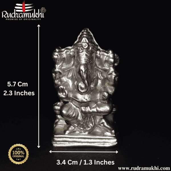 parad-ganesh-ji