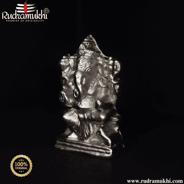 ganesh-ji-parad