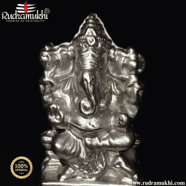 ganesh-ji-parad