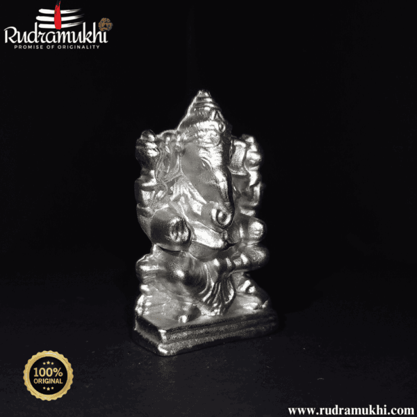 ganesh-ji-parad