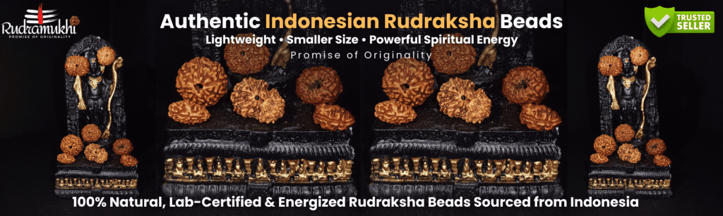 authentic indonesian rudraksha beads lightweight lab certified energized