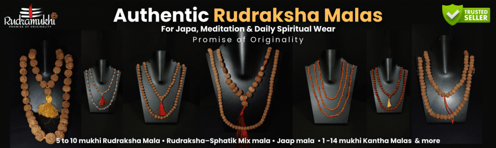 authentic rudraksha mala for japa and meditation