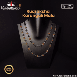 Rudraksha Karungali Mala Silver Plated – Original Spiritual Protection Mala