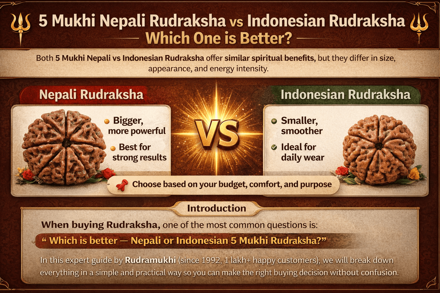 5 mukhi nepali vs indonesian rudraksha difference size benefits which is better comparison infographic
