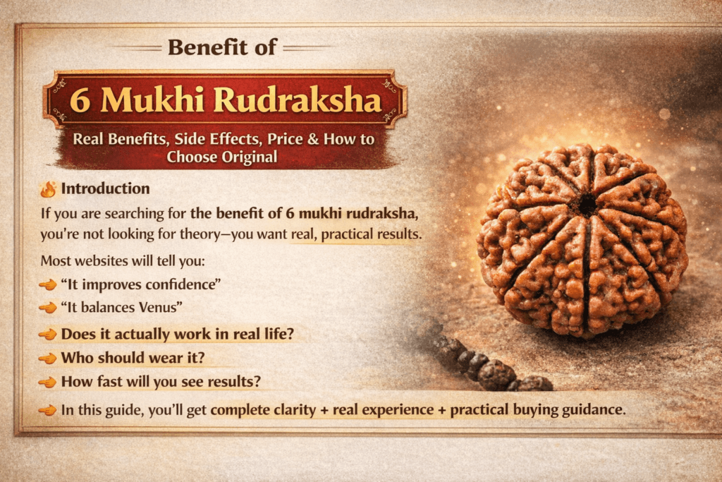 6 mukhi rudraksha benefits side effects price and how to choose original rudraksha infographic