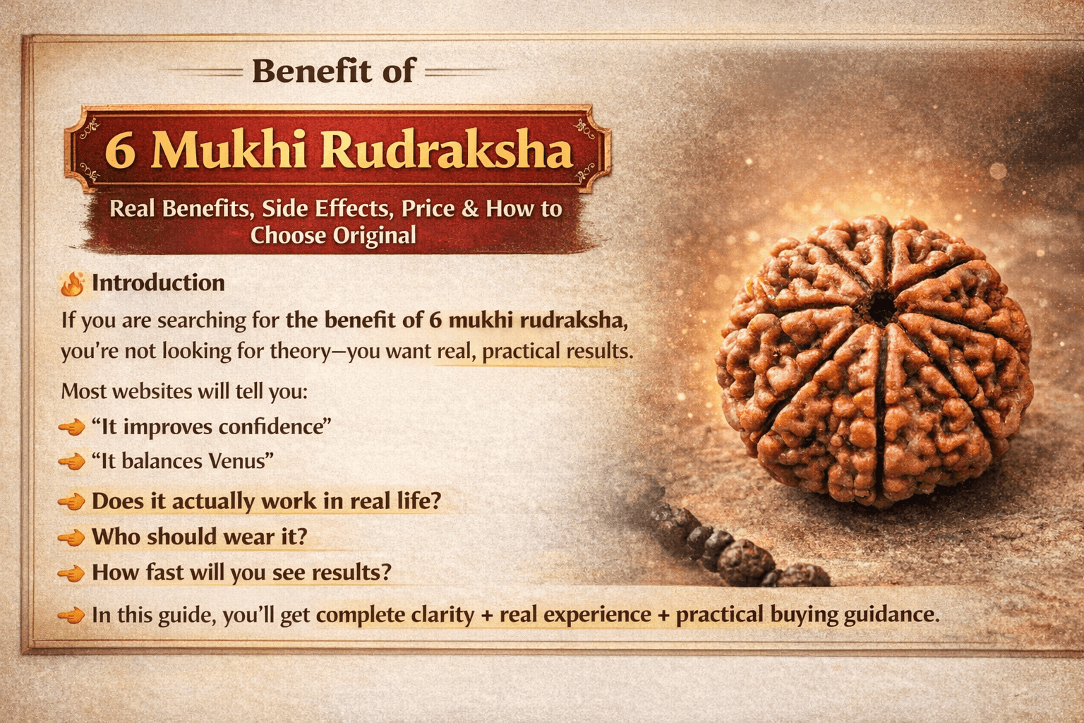 6 mukhi rudraksha benefits side effects price and how to choose original rudraksha infographic